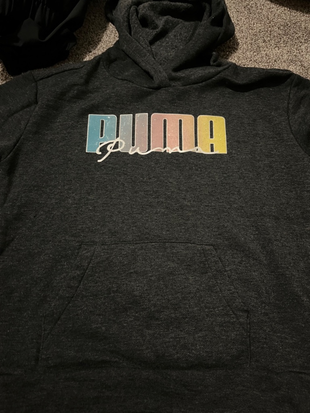 Puma Charcoal Hoodie with Teal, Pink and Yellow Logo
